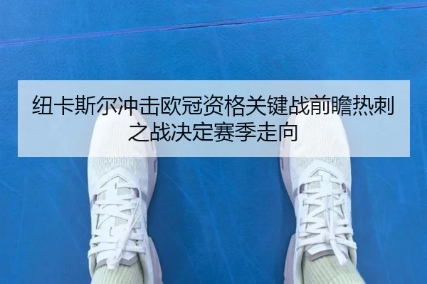 纽卡斯尔冲击欧冠资格关键战前瞻热刺之战决定赛季走向