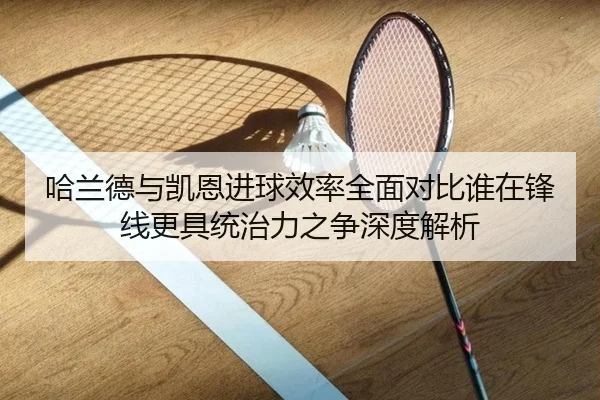 哈兰德与凯恩进球效率全面对比谁在锋线更具统治力之争深度解析