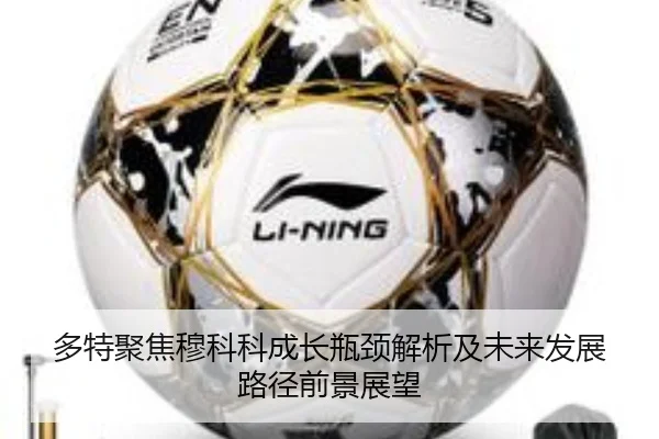 多特聚焦穆科科成长瓶颈解析及未来发展路径前景展望